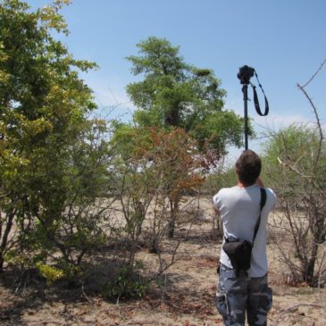 Afryka, Botswana – 20101118 czwartek